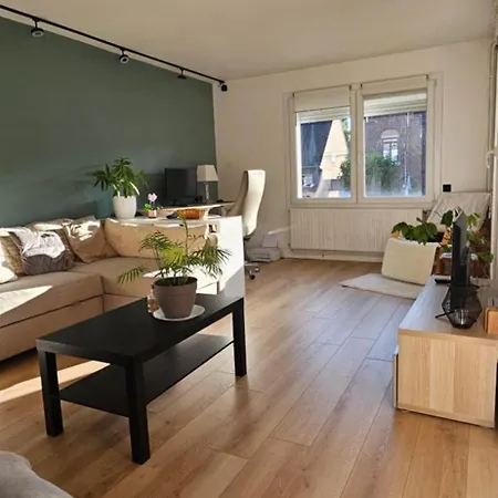 Appartement Lille شقة